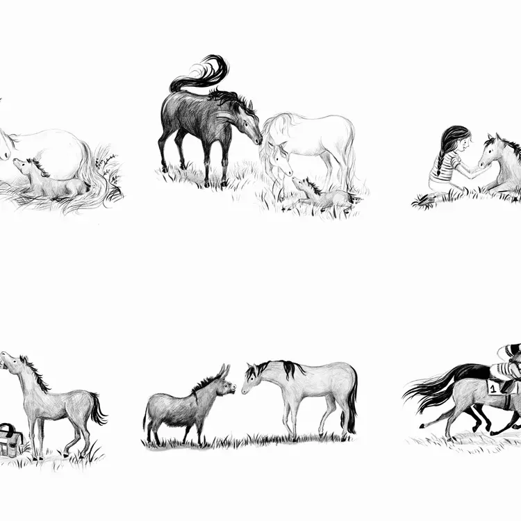 a collection of pencil drawing of horses and characters from a book. 